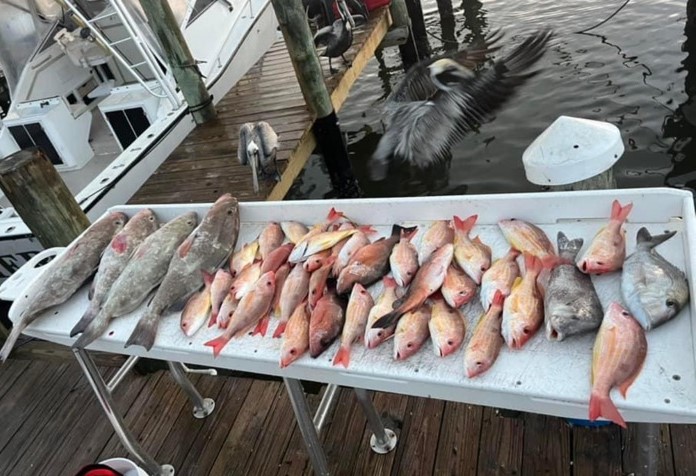 Fishing in Destin