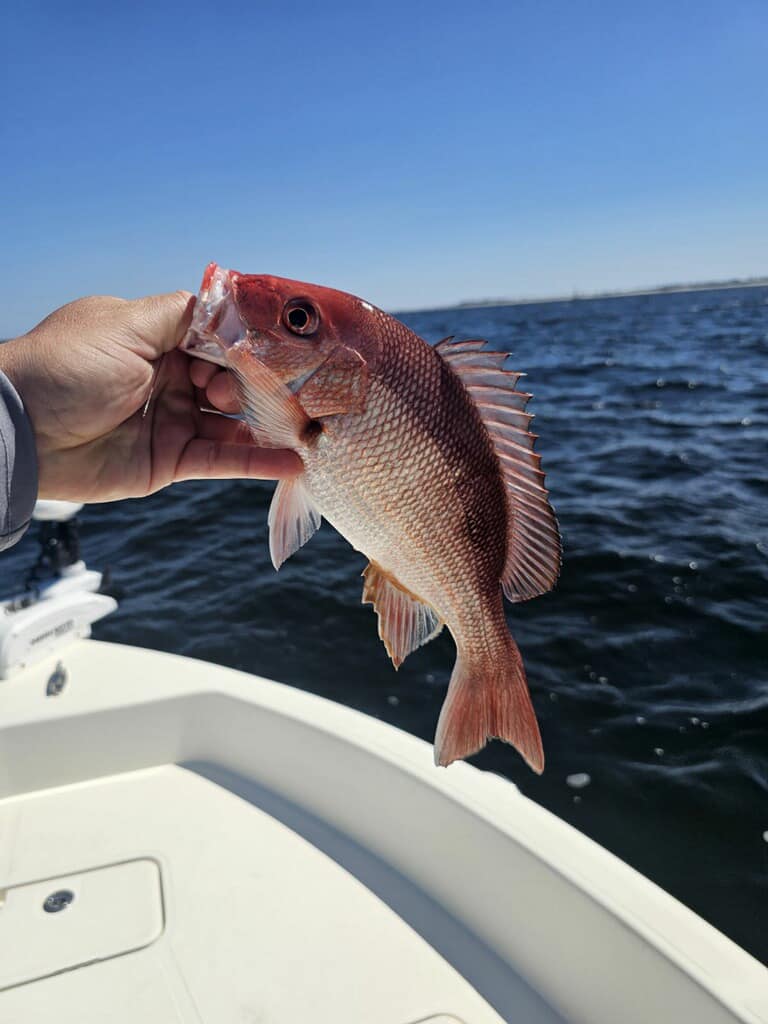 Fishing in Destin