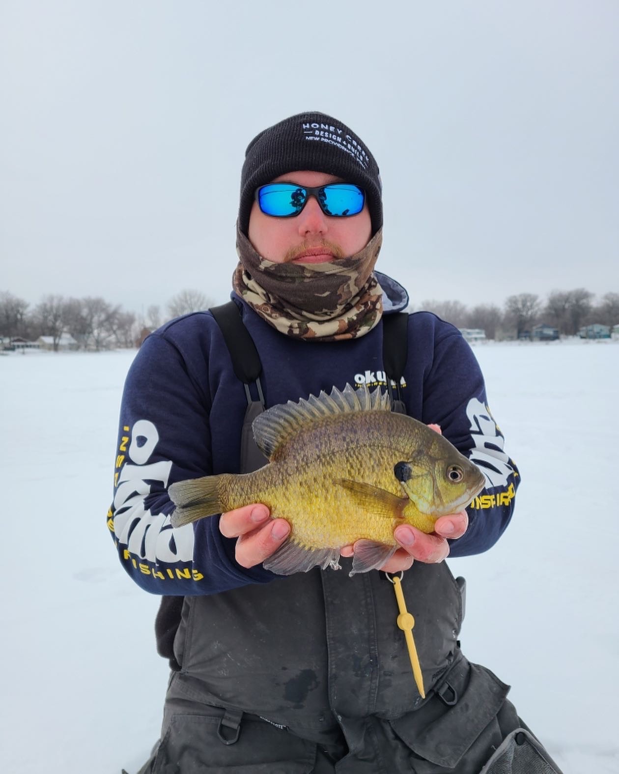 Bluegill