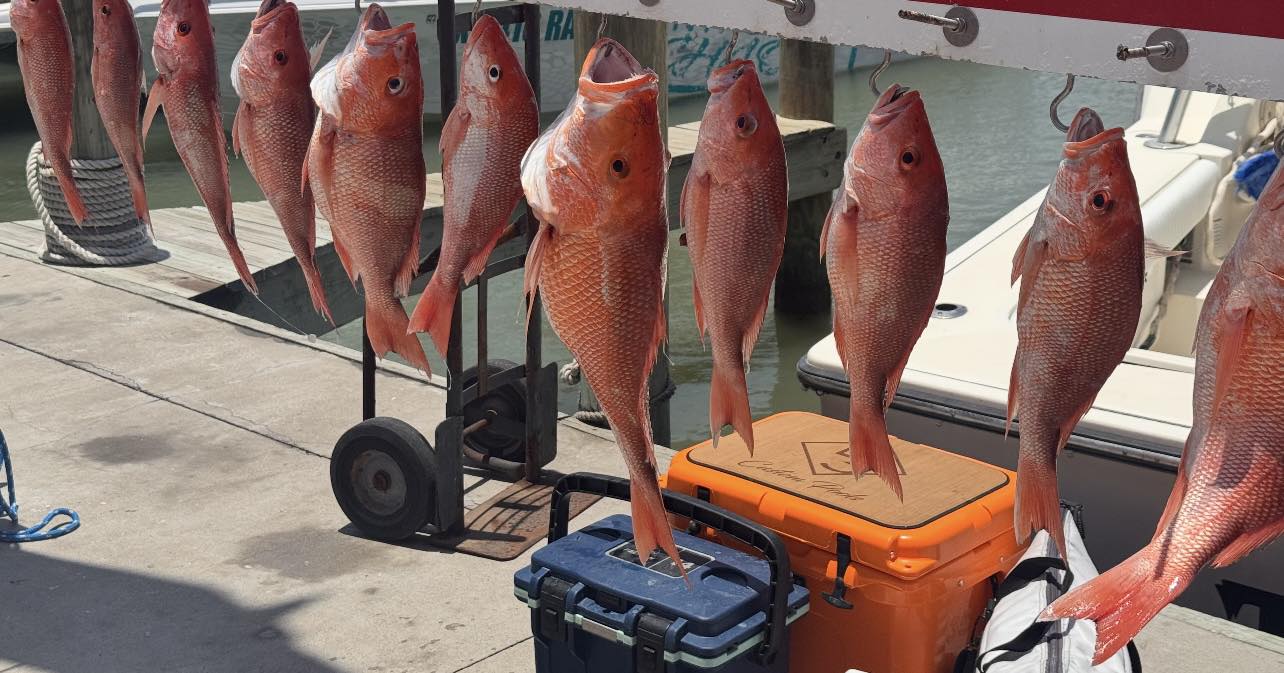Fishing in Destin