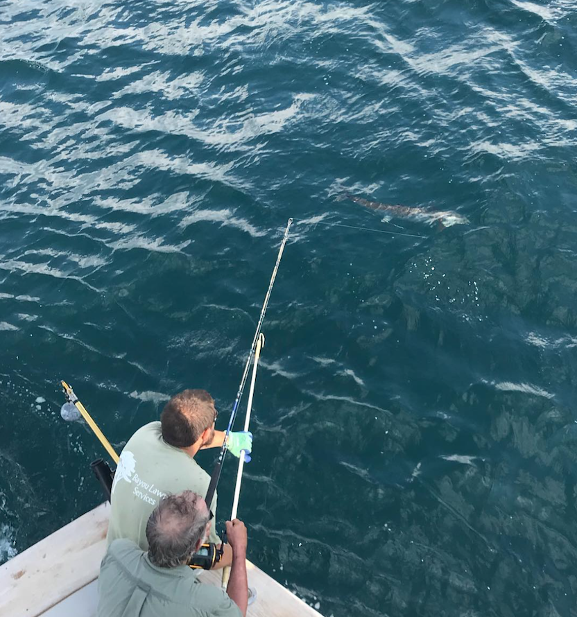 Fishing in Destin