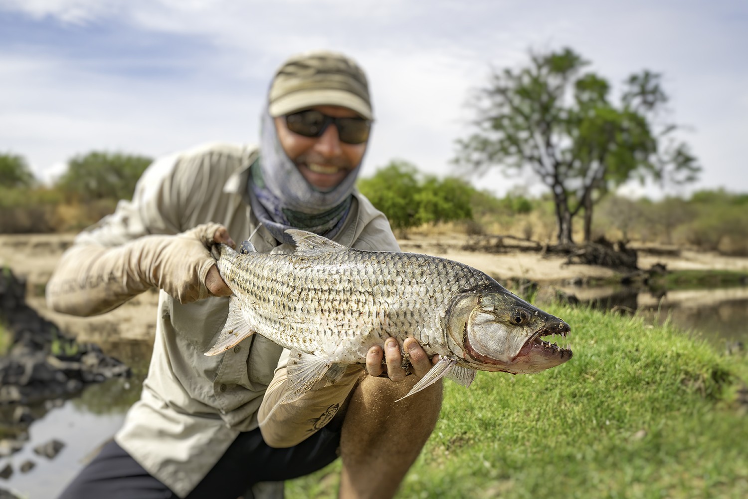 Tigerfish