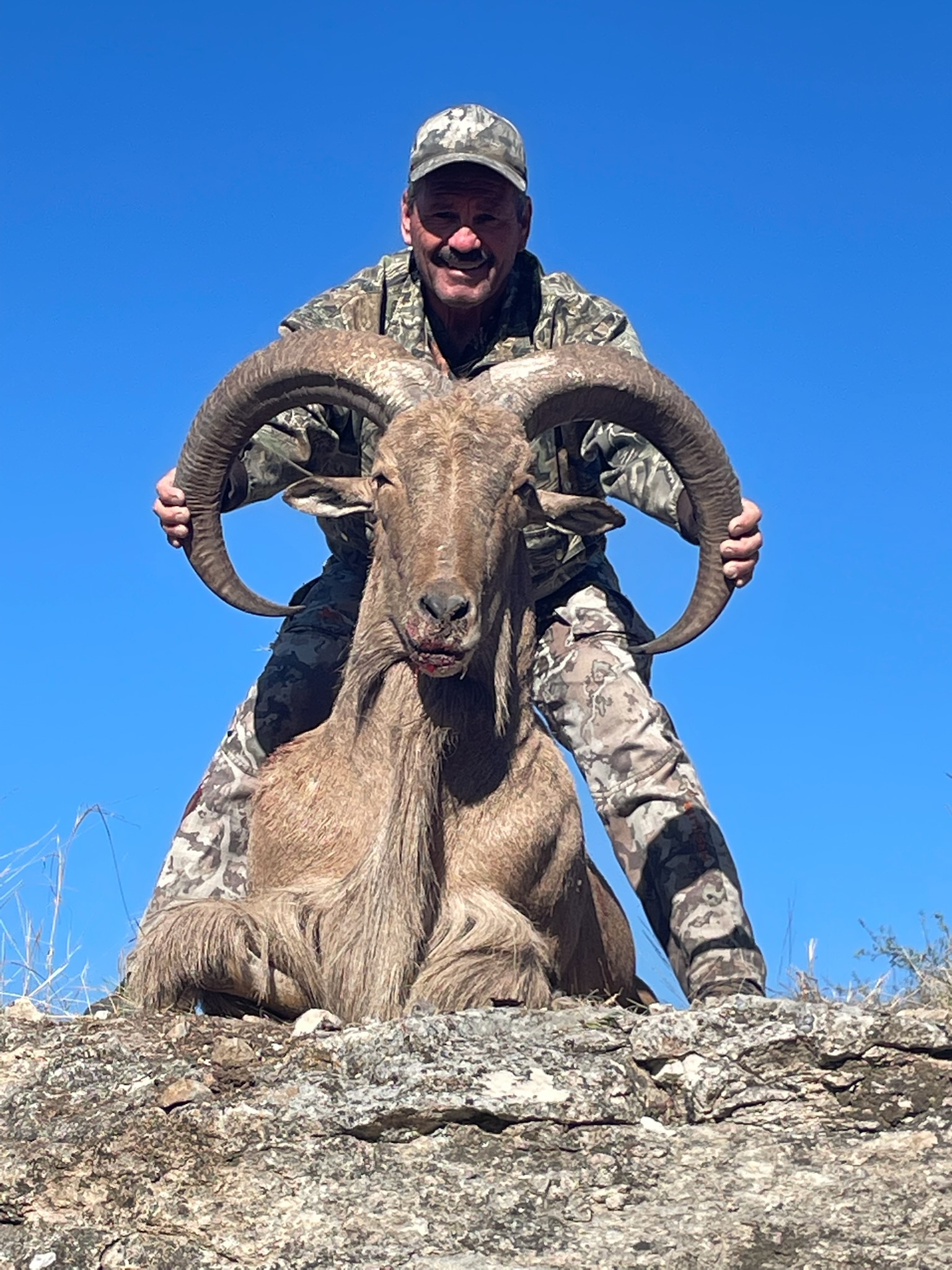 West Texas Aoudad Ram Hunt