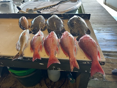 Fishing in Destin