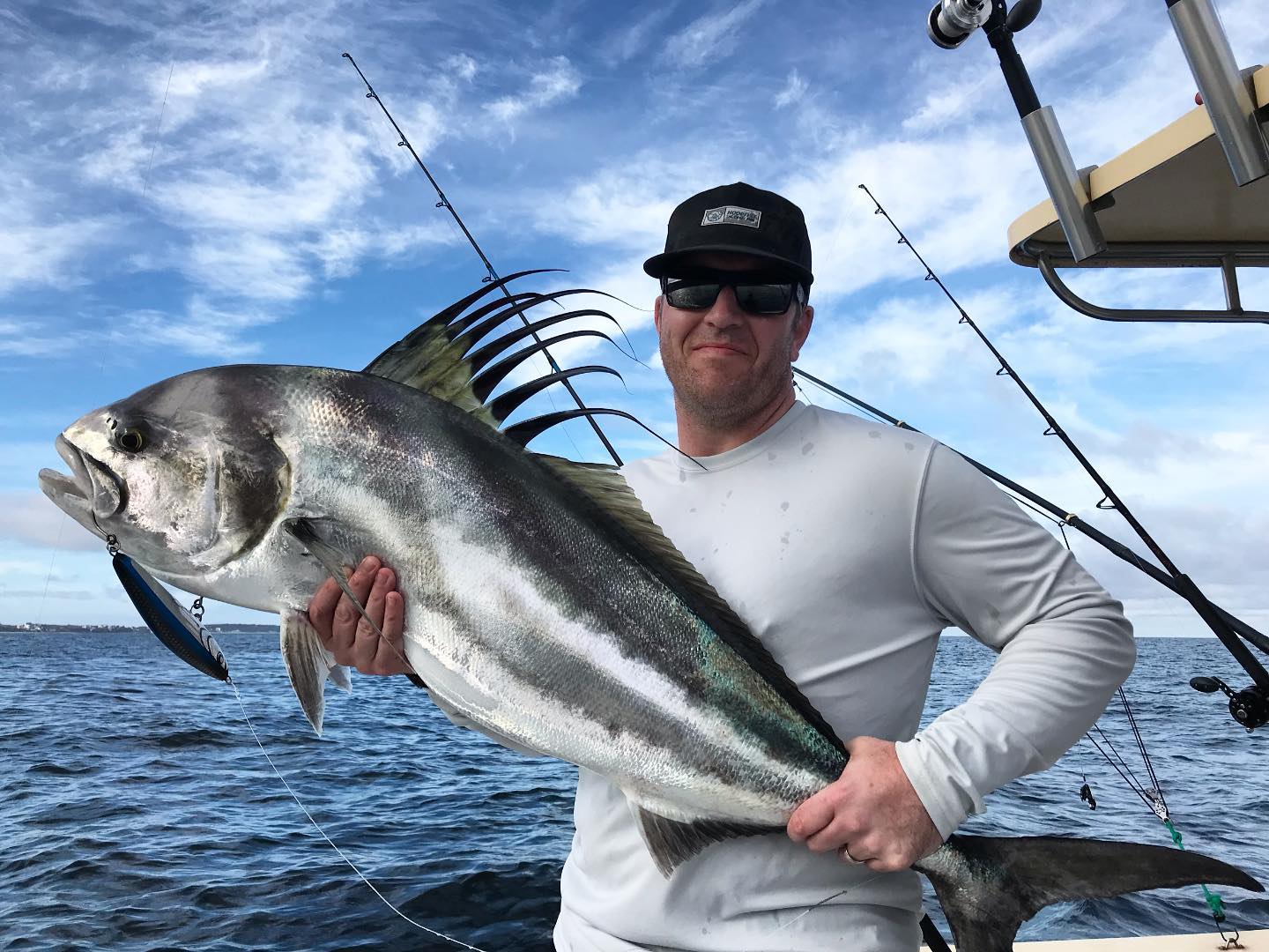 Roosterfish