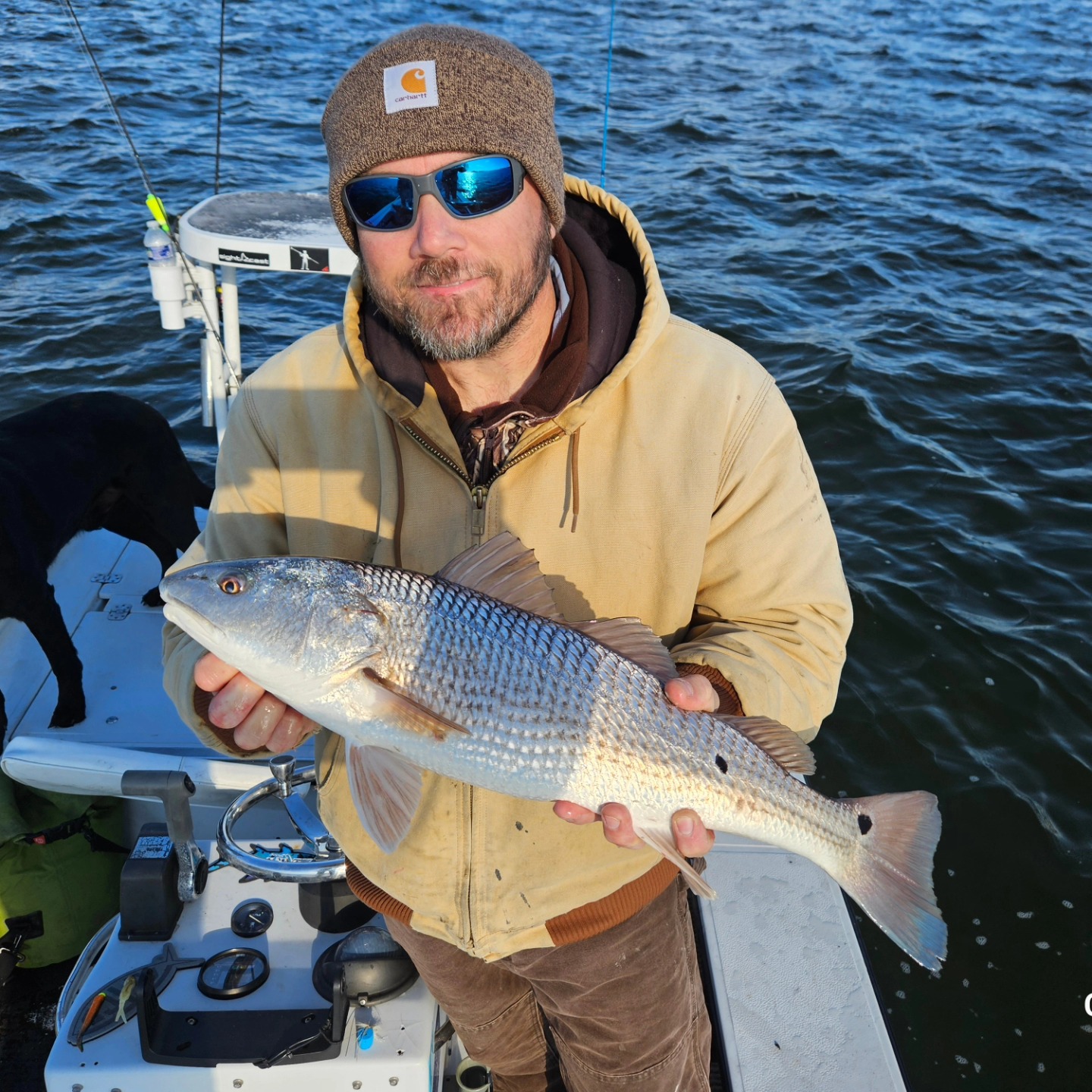Backwater Sightfishing,  Fly/Spin
