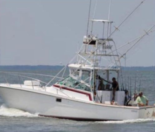 5 Hr Bottom Fishing & Trolling