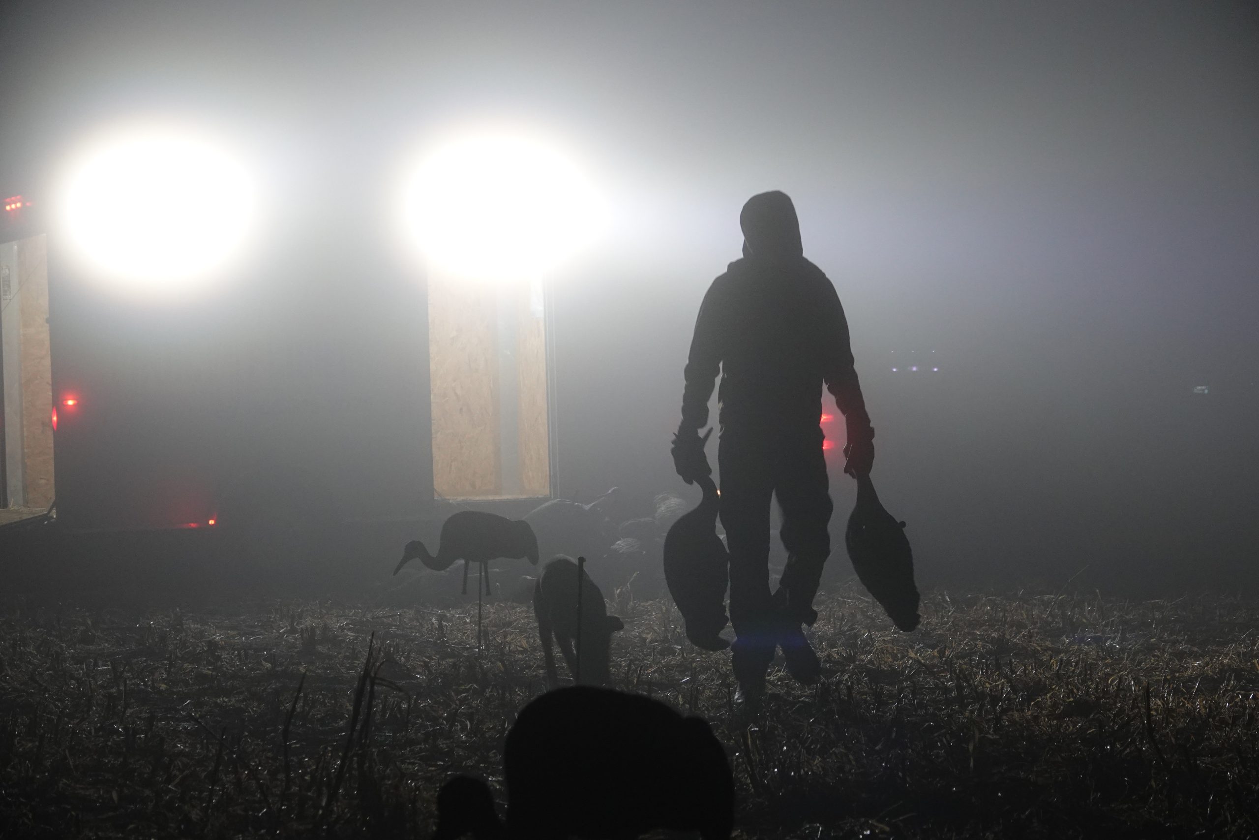 Decoy Hunting