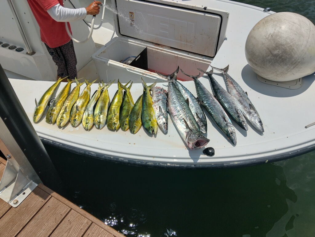 Fishing in Destin