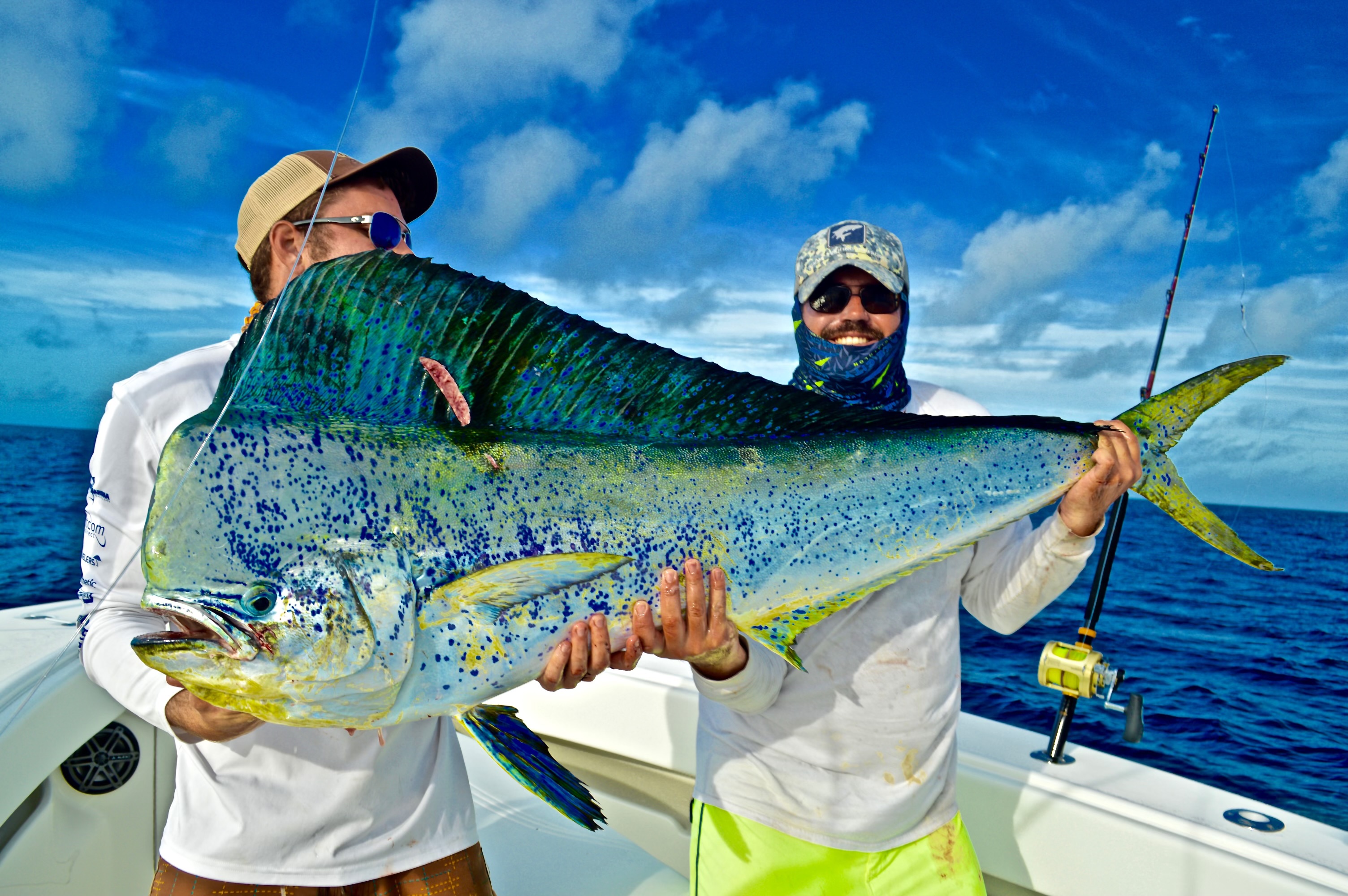 Heavy Tackle Fishing