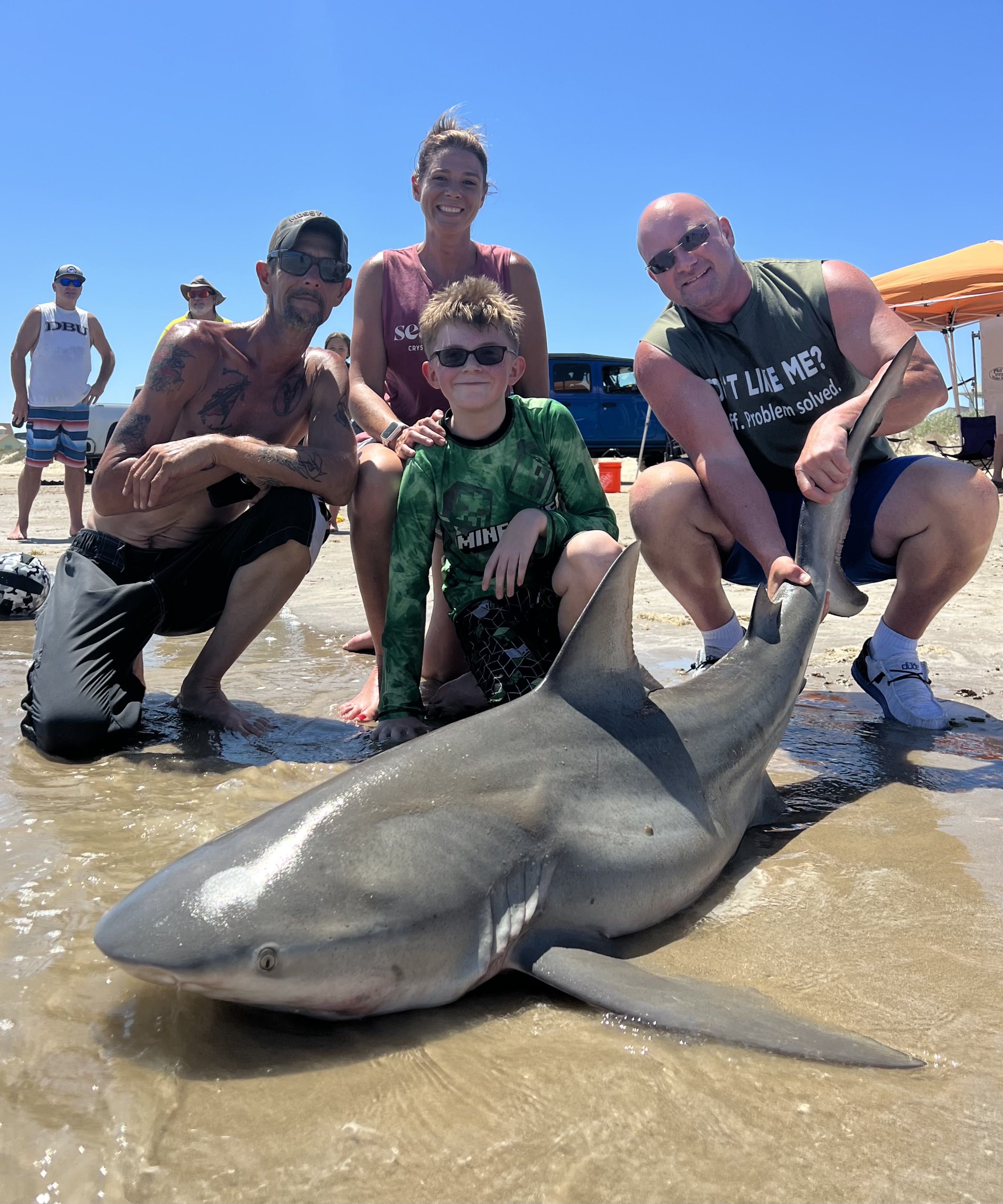 Bull Shark