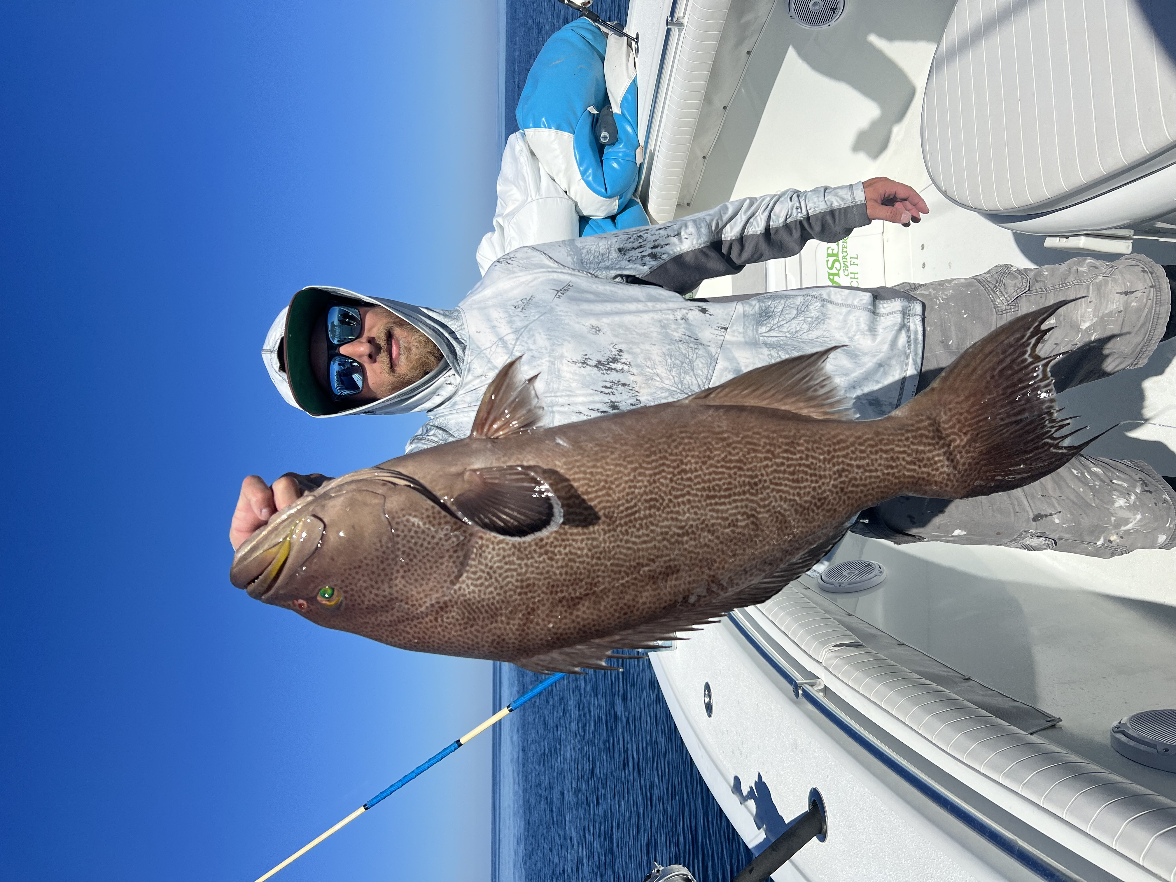Scamp Grouper