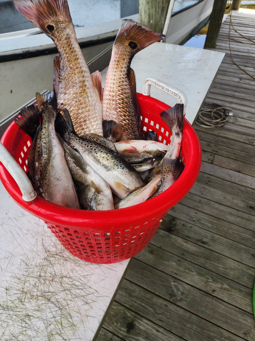 Fishing in Destin