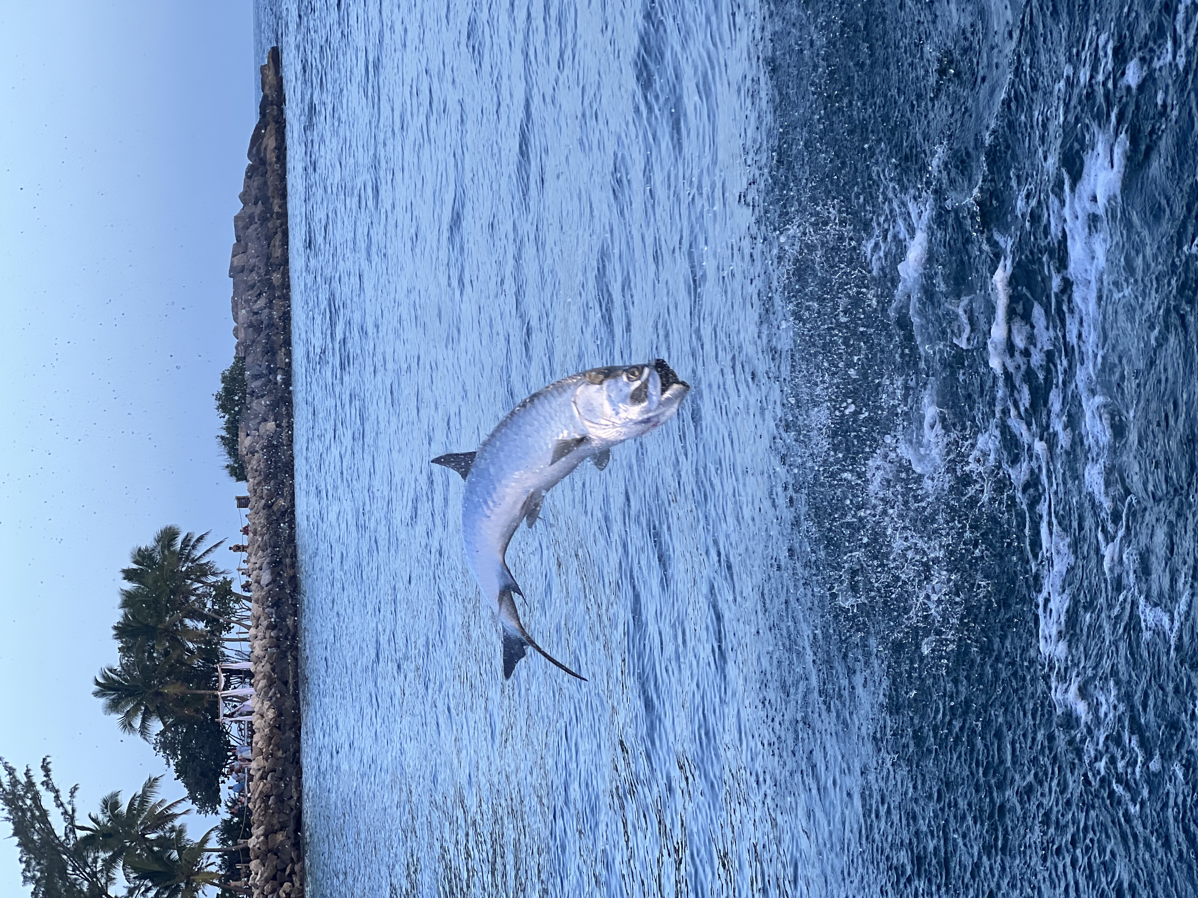 Drift Fishing