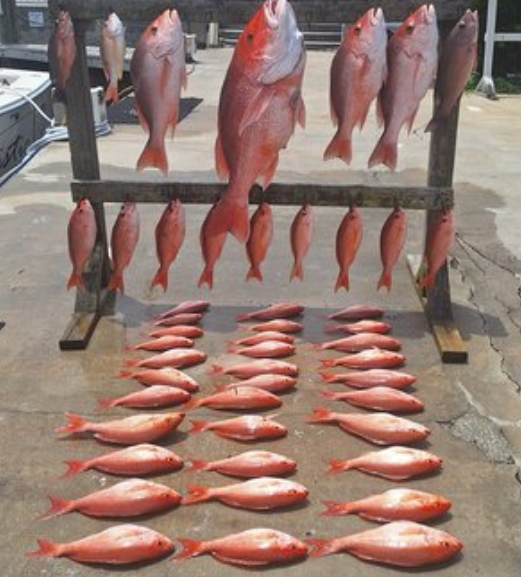 Fishing in Destin