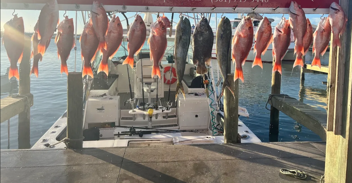 Fishing in Destin