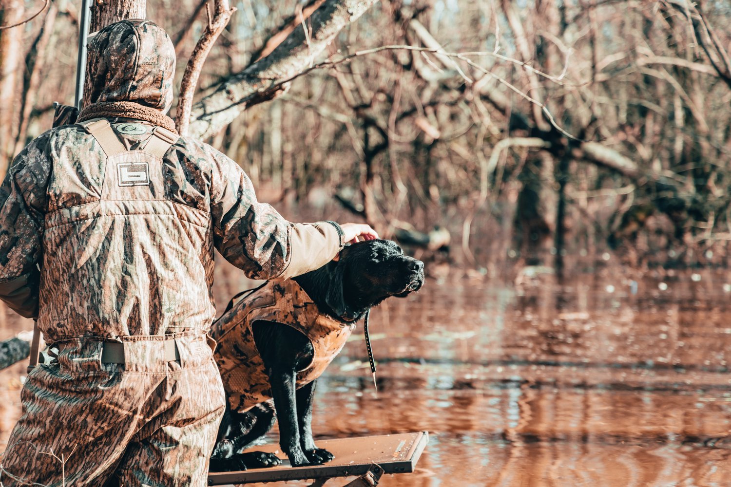 Hunting With Dogs