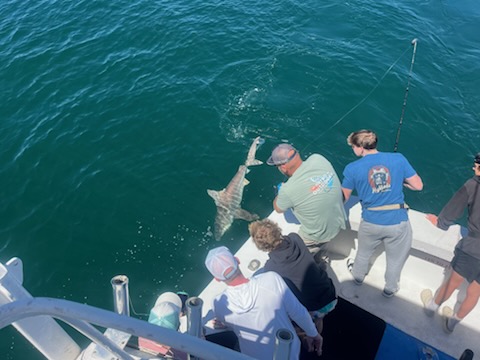 Fishing in Destin