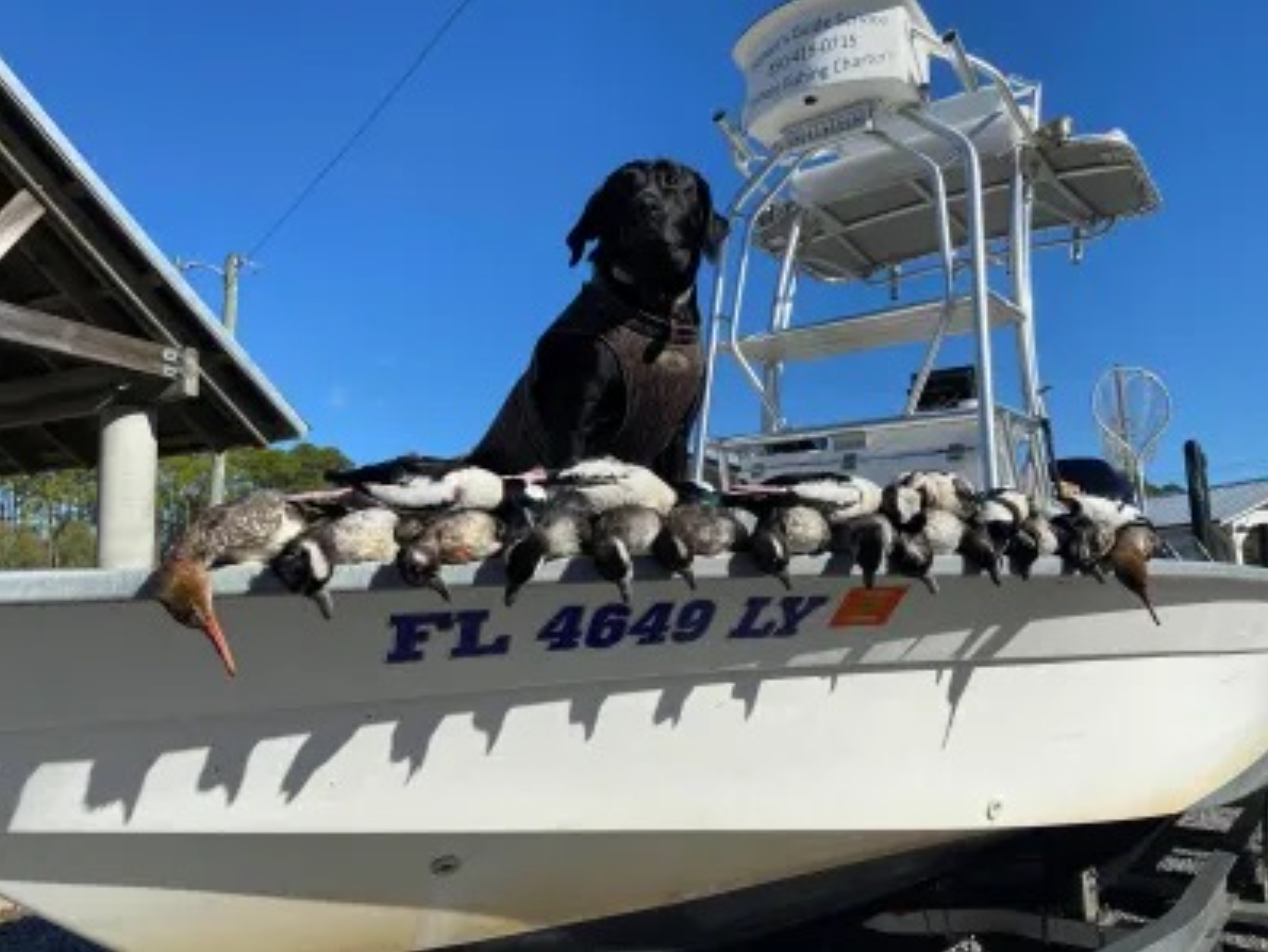 Fishing in Destin
