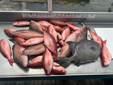Fishing in Destin