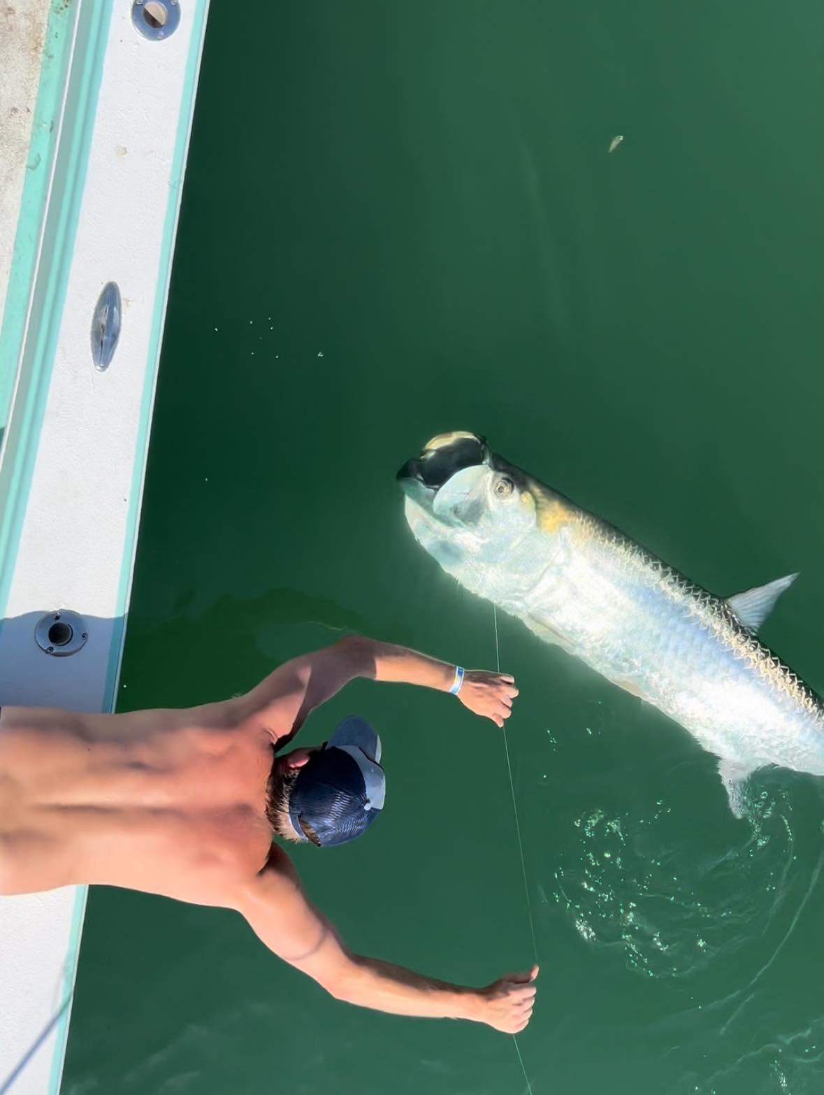 Tarpon Fishing Charter