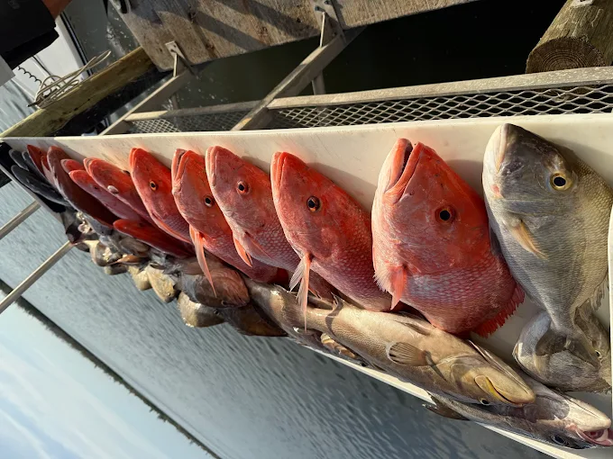 Fishing in Destin