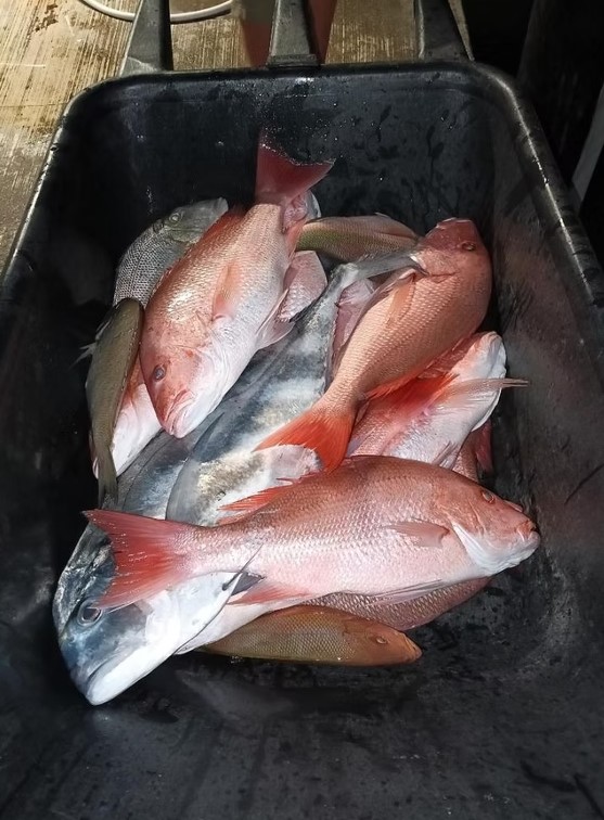 Fishing in Destin