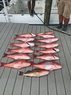 Fishing in Destin