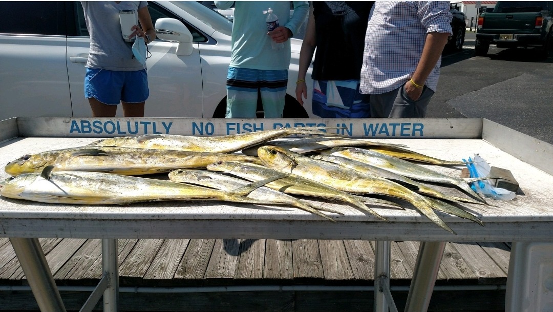 Full Day Trip – Trolling