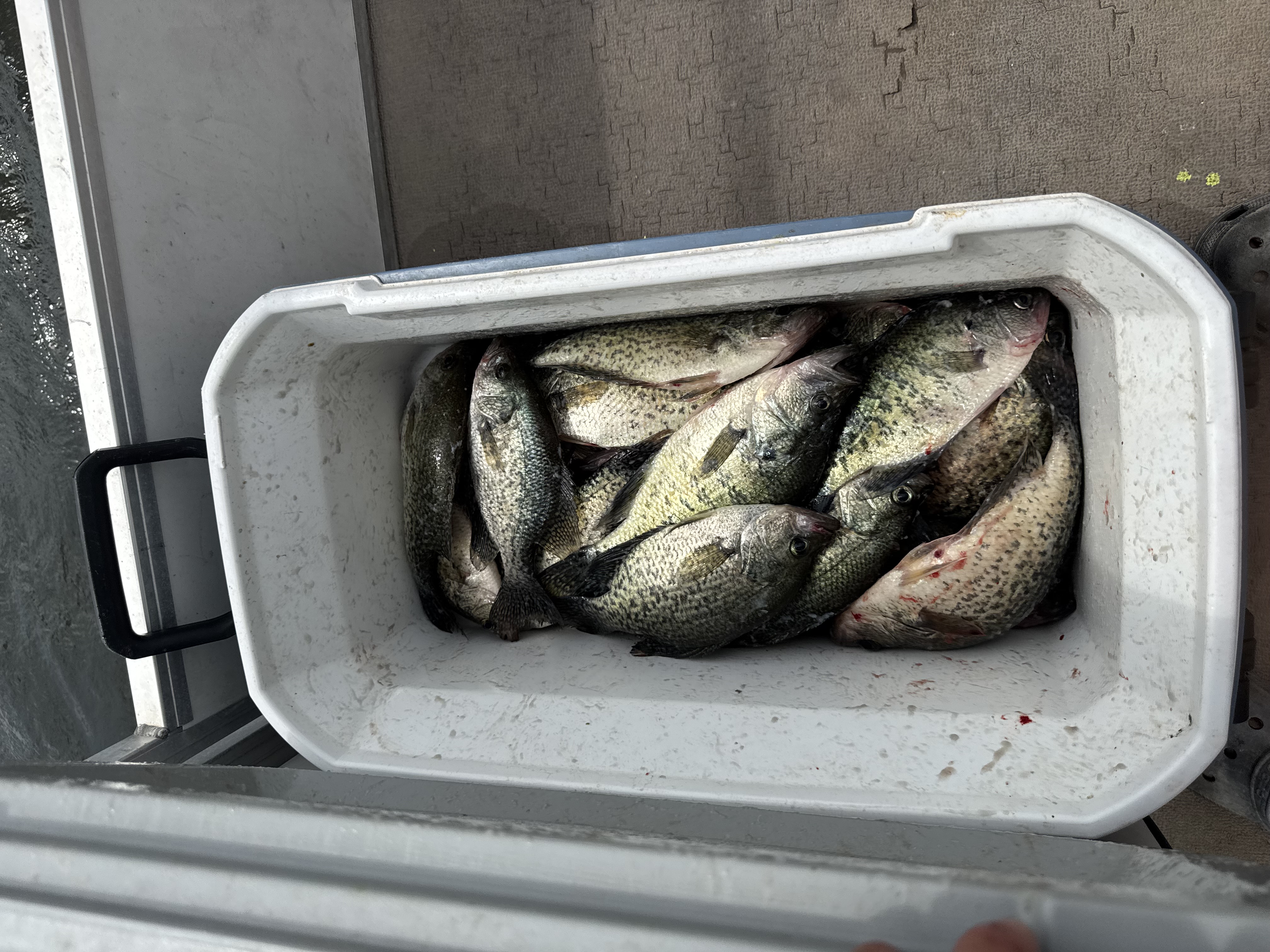 Lake Bob Sandlin Crappie Adventure!