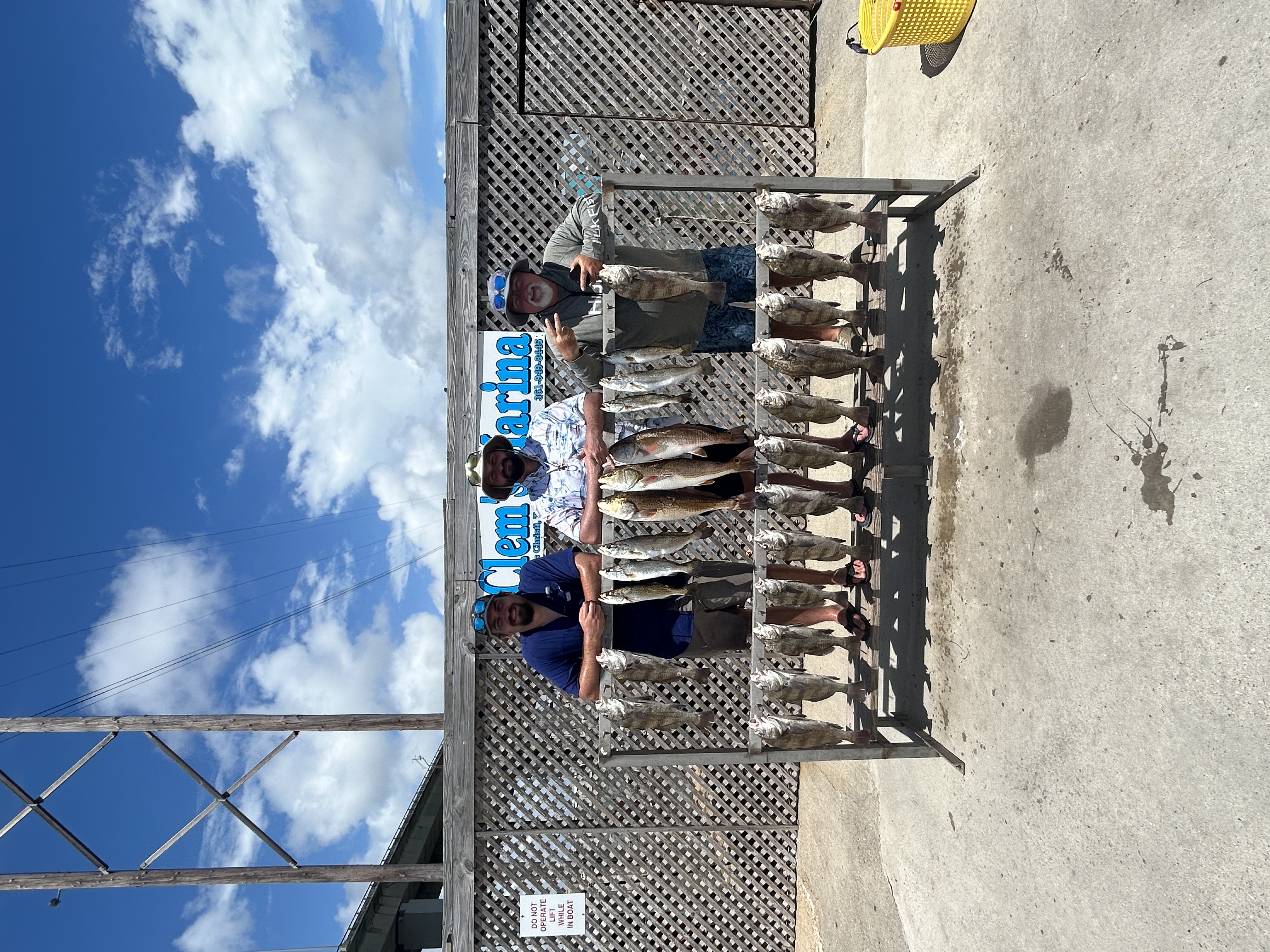 Full day live bait trip. 