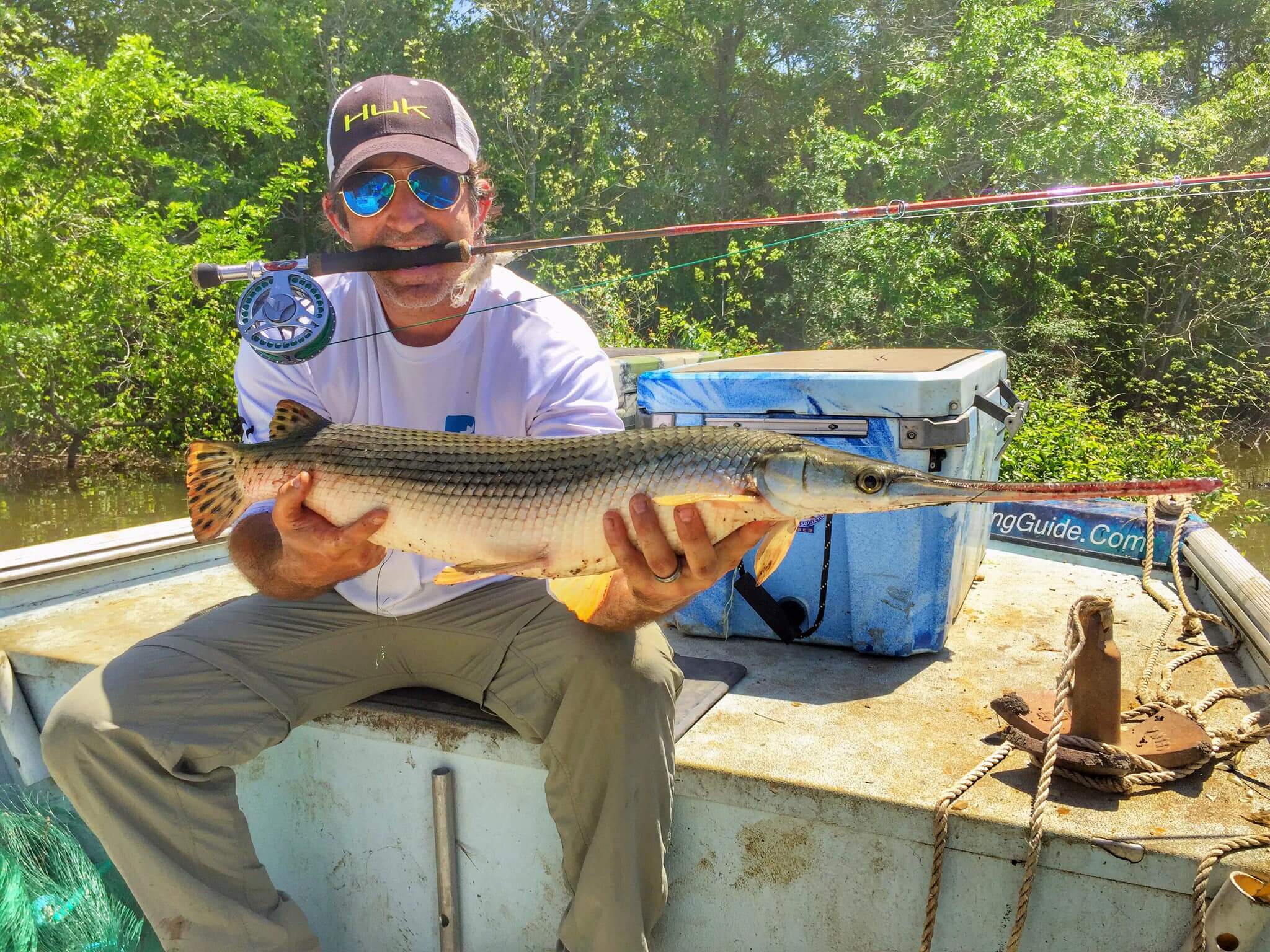 Longnose Gar