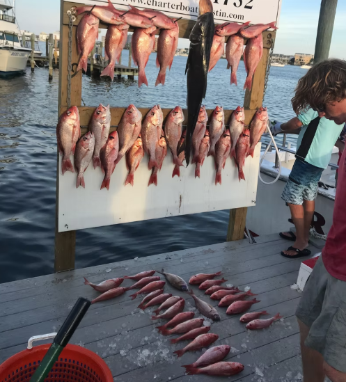 Fishing in Destin