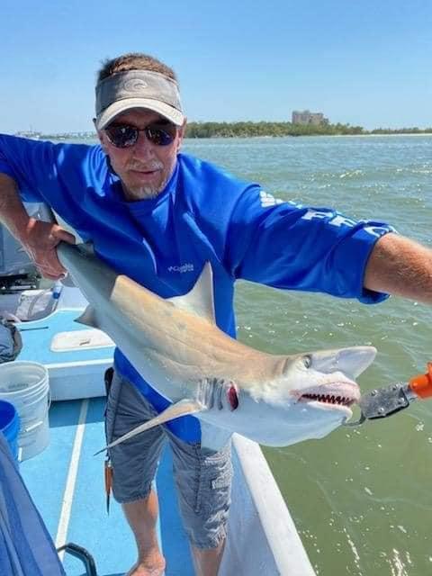 Summer Shark Fishing