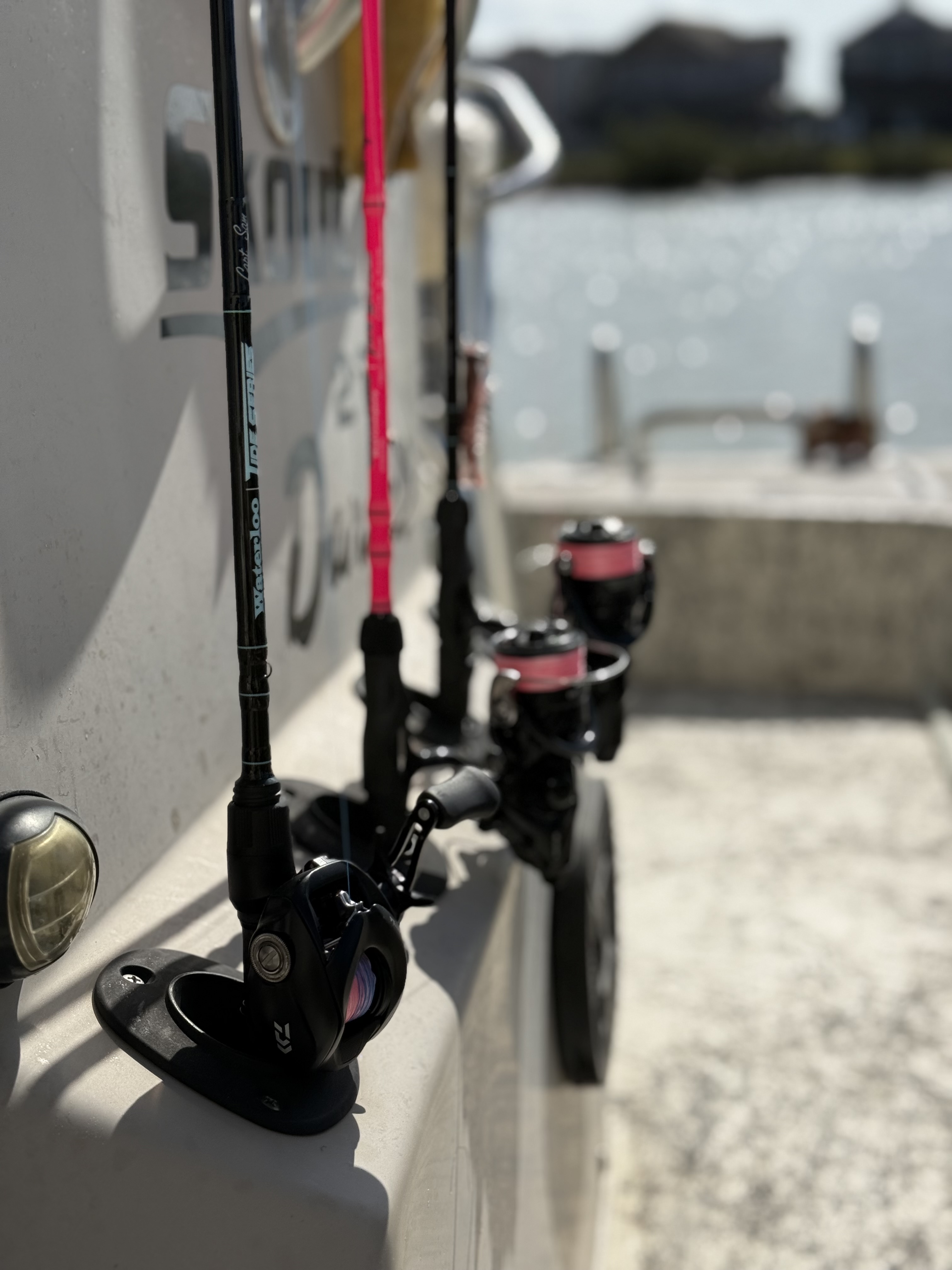 7am to 1pm bay fishing charter