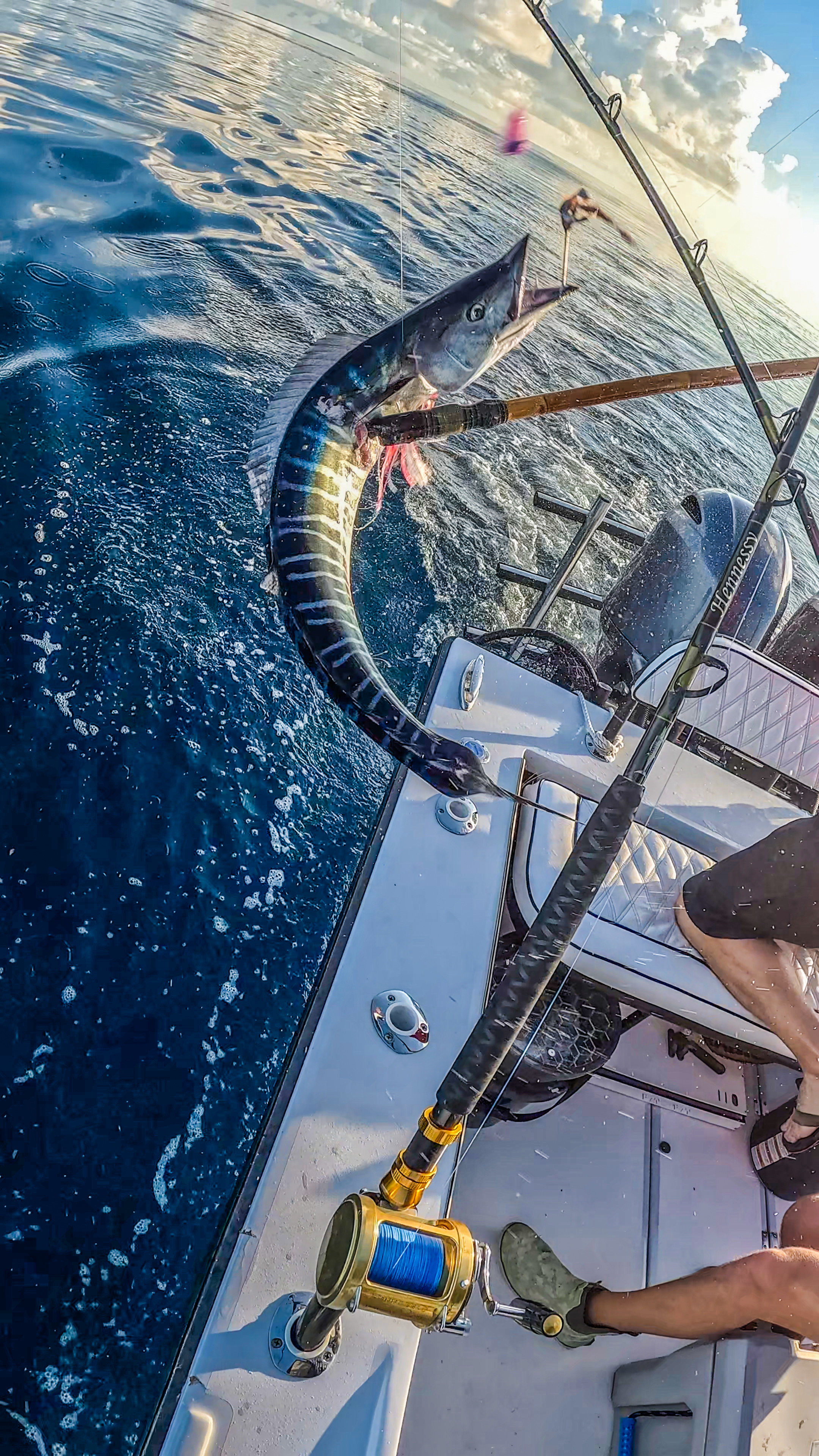 Four Hour Reef and Wreck Trip